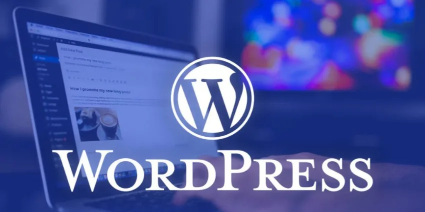 WordPress Hosting Rehberi: Hız, Güvenlik ve Performans